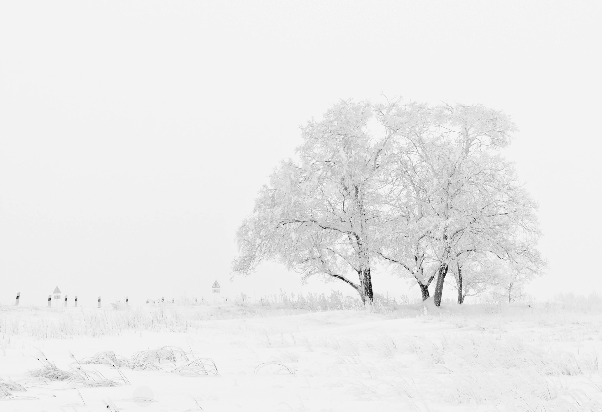 Navigating Seasonal Depression