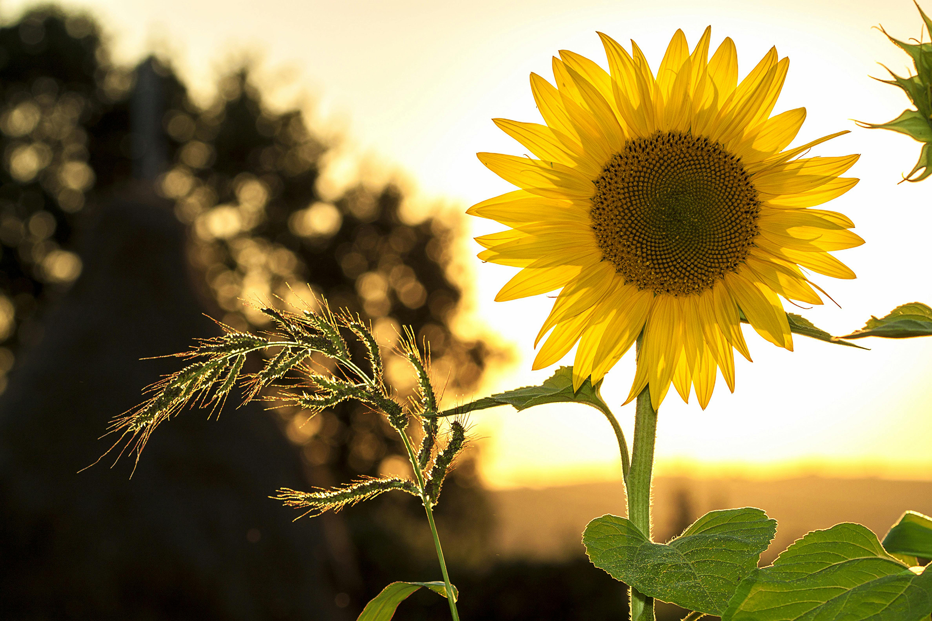 Activities to Help with Seasonal Depression