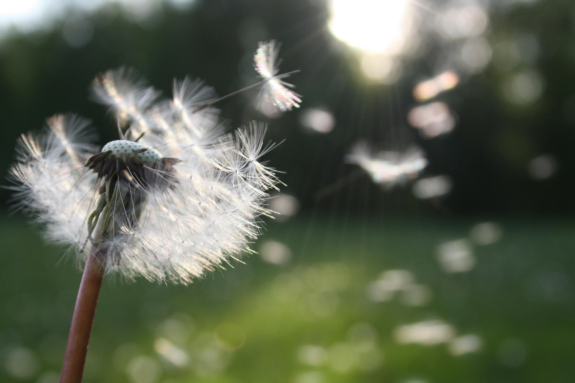 Outpatient Treatment at The NewDay Center: Healing with Flexibility and Faith